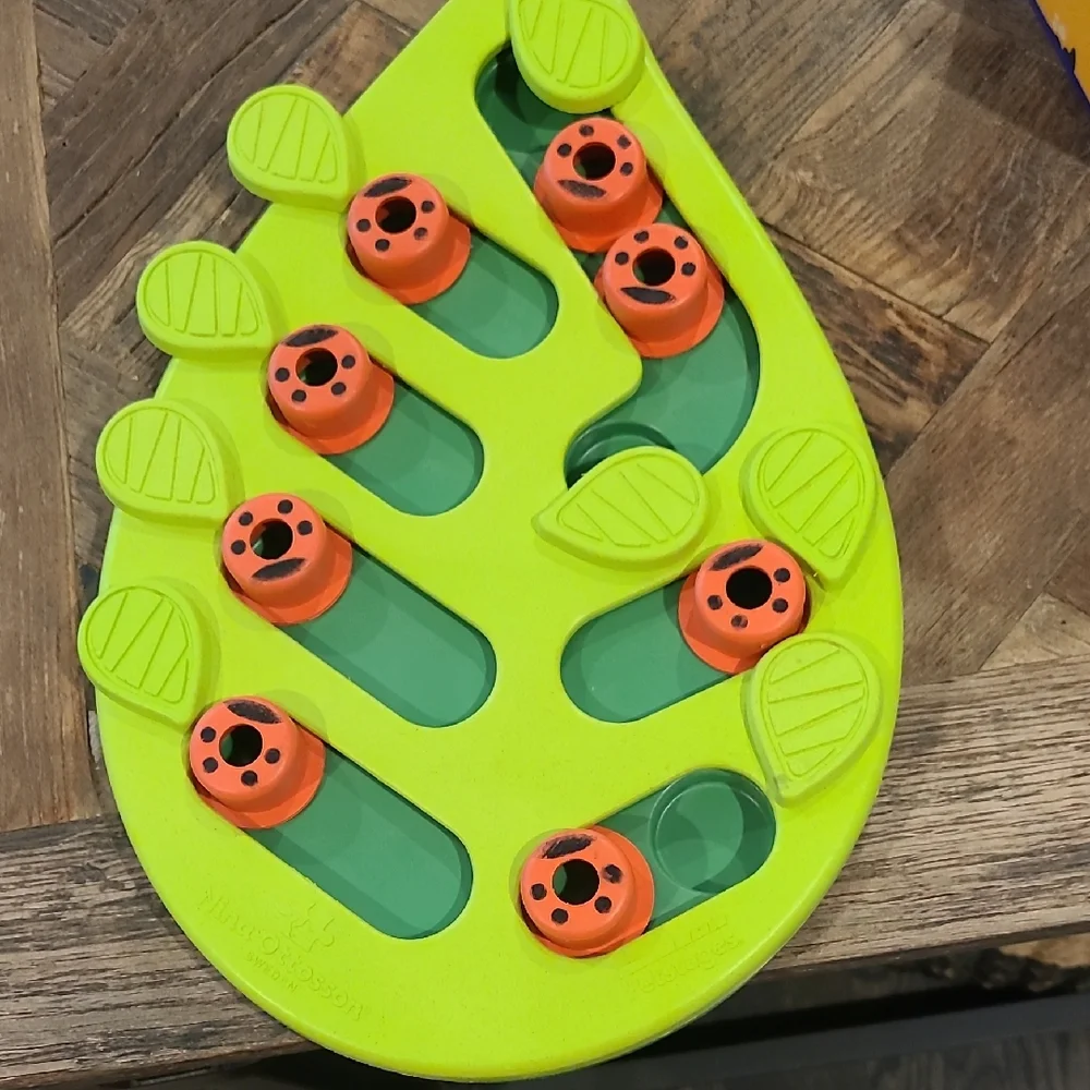 Interactive Leaf Puzzle Dog Toy - Lime Green and Orange
